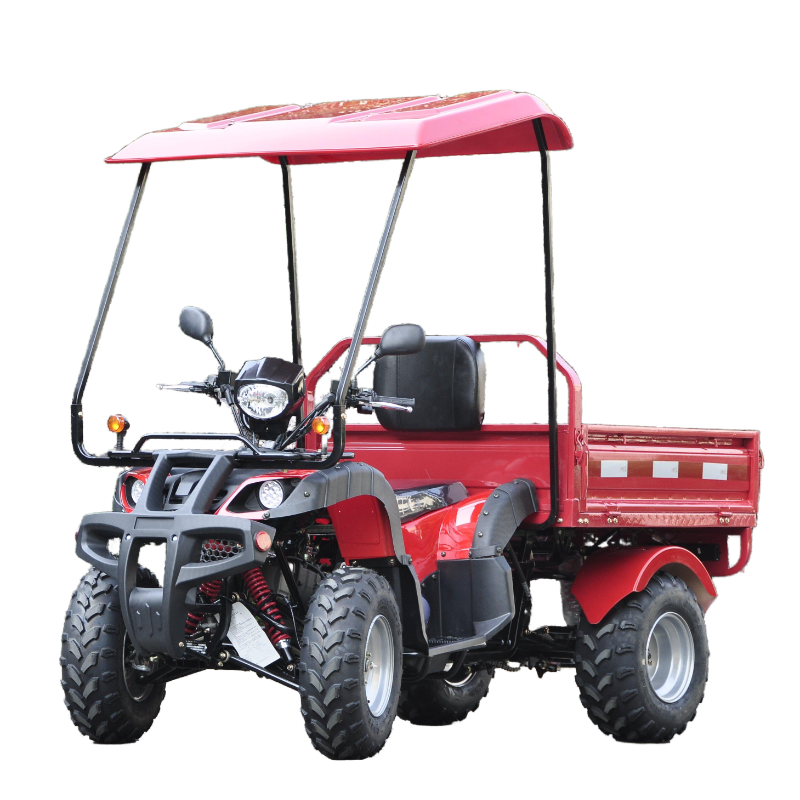 Hot sale Farm ATV 200CC 4 wheeler ATV multipurpose ATV with high quality